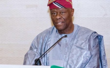 FG Unveils BisonFly Project, Targets ₦24bn Savings on Air Travel Costs