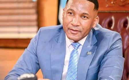 Botswana Secures $12bn Investment Deal with Al Mansour Holdings