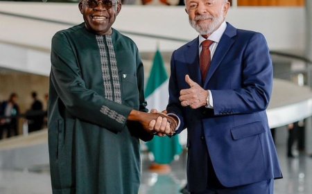 President Bola Tinubu has officially met with Brazilian President Luiz Inácio Lula da Silva in Brasilia