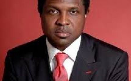 Tonye Cole Criticizes Rivers State Over Conduct of LGA Elections