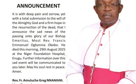 Former Bishop of Nsukka Diocese, Francis Okobo, Passes Away