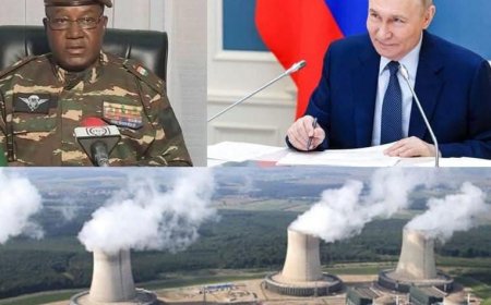Russia Offers to Develop Nuclear Power Plant in Niger Amid Energy Challenges