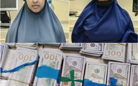 Kenyan Authorities Arrest Two Women with $560,000 in Fake US Dollars