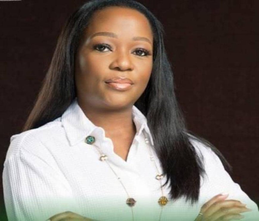 President Tinubu Appoints Omotenioye Majekodunmi as New DG of Climate Change Council