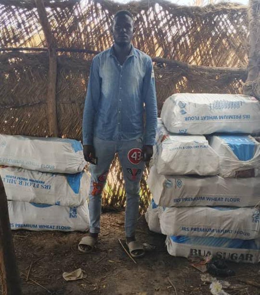 Nigerian Forces Capture Suspected Boko Haram Logistics Operator in Borno