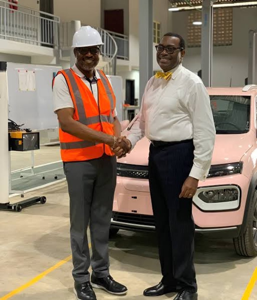 AfDB President Adesina Urges Africa to Begin Local Car Production
