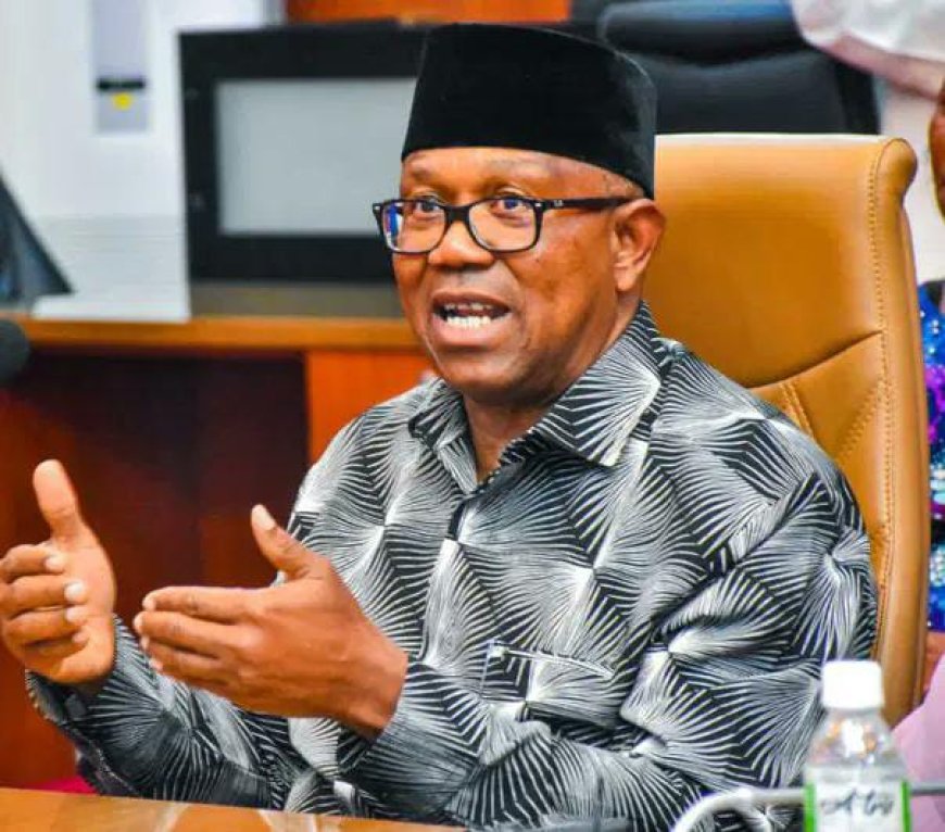 Peter Obi Proposes Single 5 Year Presidential Term for Nigeria