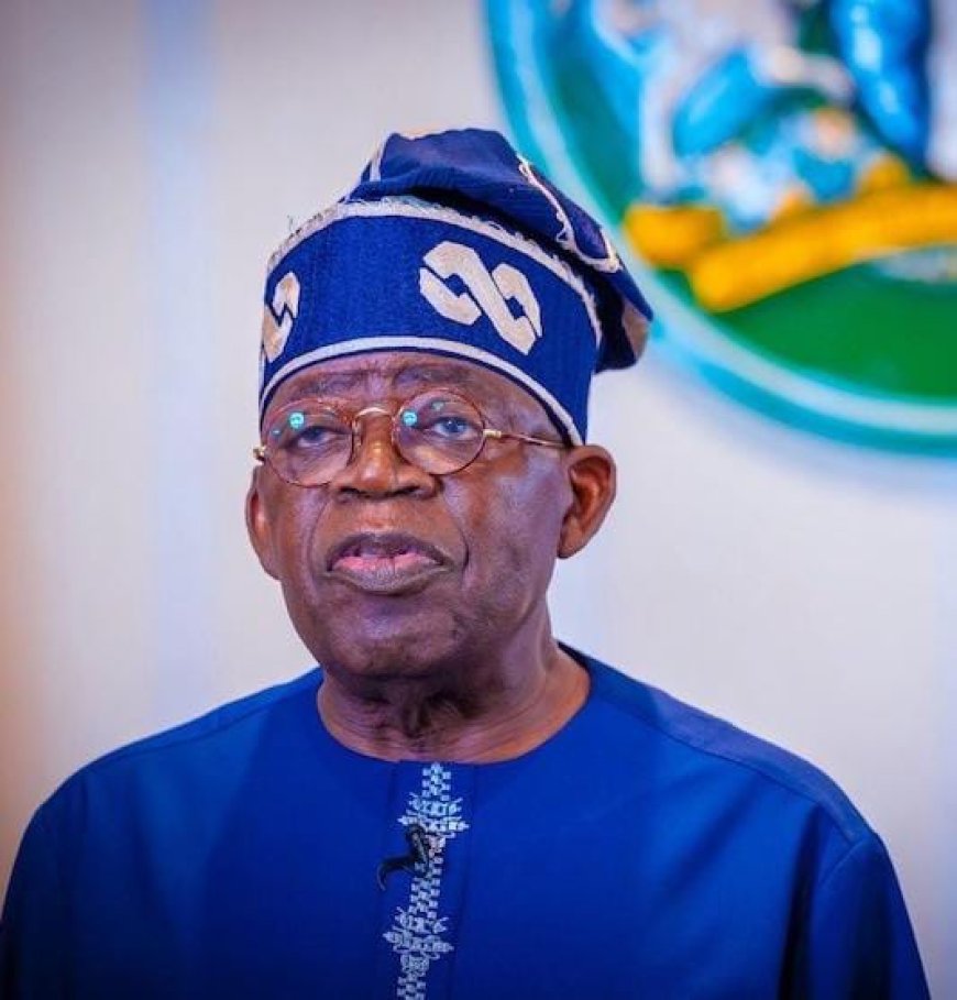 Tinubu Appoints Ex-Lawmaker Ayo Omidiran as Federal Character Commission Chair
