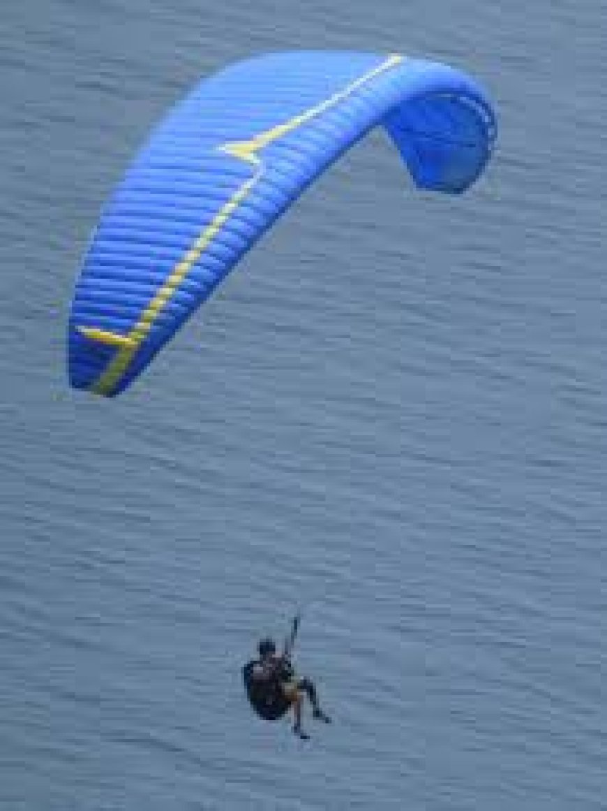 Paraglider Crashes into Power Line Before Plunging into River