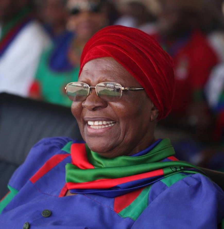 Namibian President Rejects Gates Foundation Birth Control Trial Proposal