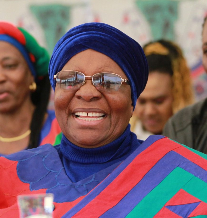 Namibian President Defends Rejection of Gates Foundation Birth Control Trials