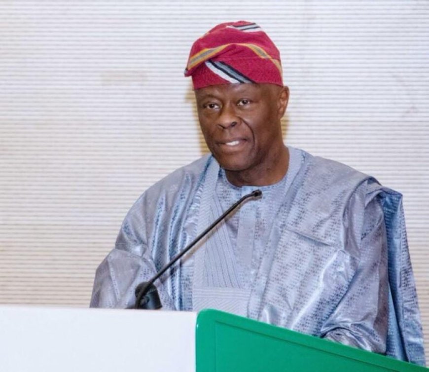 FG Unveils BisonFly Project, Targets ₦24bn Savings on Air Travel Costs
