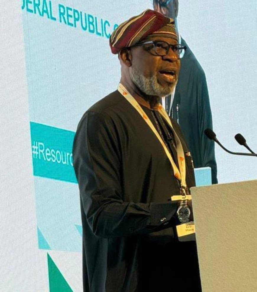 Nigeria, Japan Strengthen Ties to Boost Mining Investment