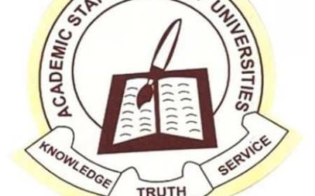Nigerian Professors Push for N2.5m Minimum Monthly Salary