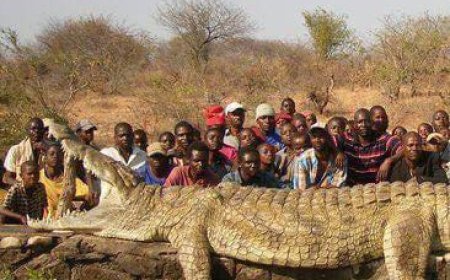 Army Called In as Giant Crocodile Terrorizes Villagers