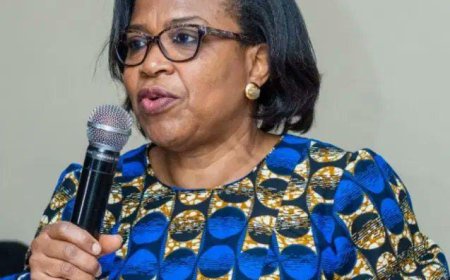 DMO Boss Urges States to Prioritize PPP Over Excessive Borrowing for Infrastructure