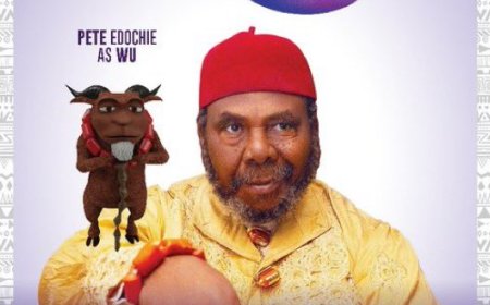 Nigeria’s First 3D Animated Musical Gammy and the Living Things