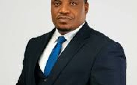 Okereke: No Individual Can Dictate Terms Beyond Party Constitution for PDP Convention