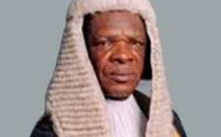 Udechukwu: State Controlled Police Fueled Nigeria’s Civil War