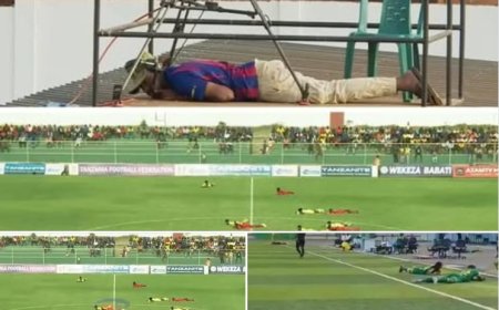 A pre-season friendly between City FC Abuja and JKU FC in Tanzania, was unexpectedly interrupted by a swarm of bees.