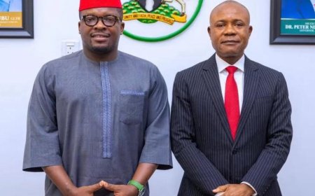 Enugu Government Accuses Sujimoto CEO of Contract Breach, Dismisses Fraud Denial Video