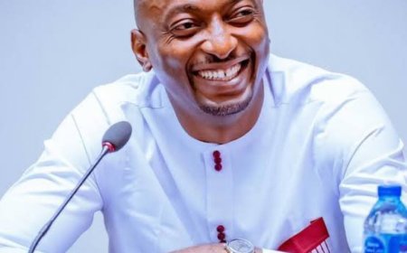Tinubu Dismisses Presidential Aide on Digital and Creative Economy