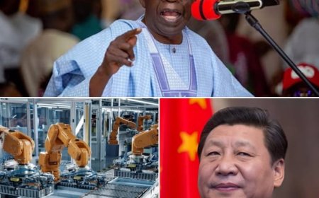 Nigeria to Open Chinese Funded Lithium Plant in Nasarawa