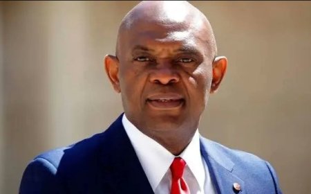 Tony Elumelu Confirms Loss of Heirs Holdings Staff in Lagos Fire Tragedy