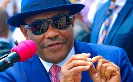 Who do you think Minister Nelson Wike is referring to ?