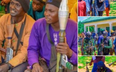 Armed “Repentant Terrorists” Attend Peace Talks With Nigerian Government