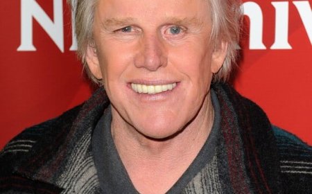 Hollywood Veteran Gary Busey Sentenced to Two Years Probation