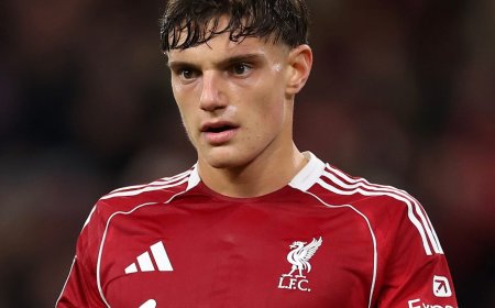 Liverpool Defender Giovanni Leoni Suffers ACL Tear