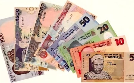 CBN Launches “Naira Our Pride: Handle with Care” Campaign