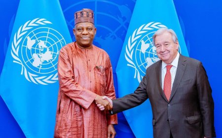 VP Shettima Meets UN Secretary General