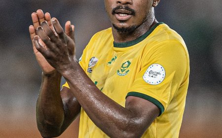 FIFA Sanctions South Africa