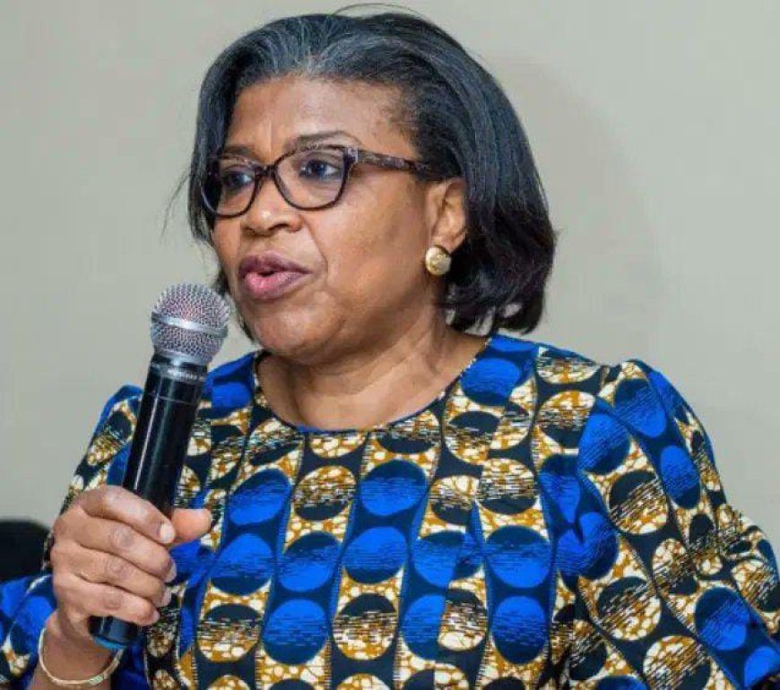 DMO Boss Urges States to Prioritize PPP Over Excessive Borrowing for Infrastructure