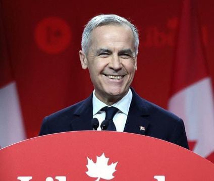 Over 1,500 Nigerian Asylum Requests Rejected in Canada in 2025