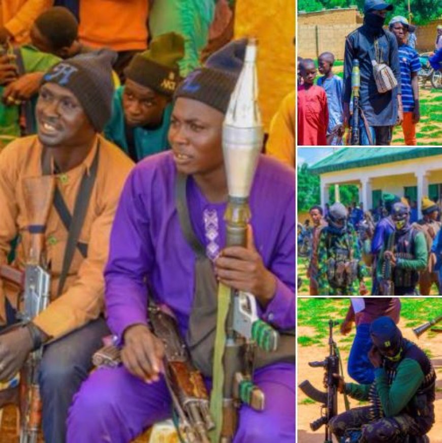 Armed “Repentant Terrorists” Attend Peace Talks With Nigerian Government