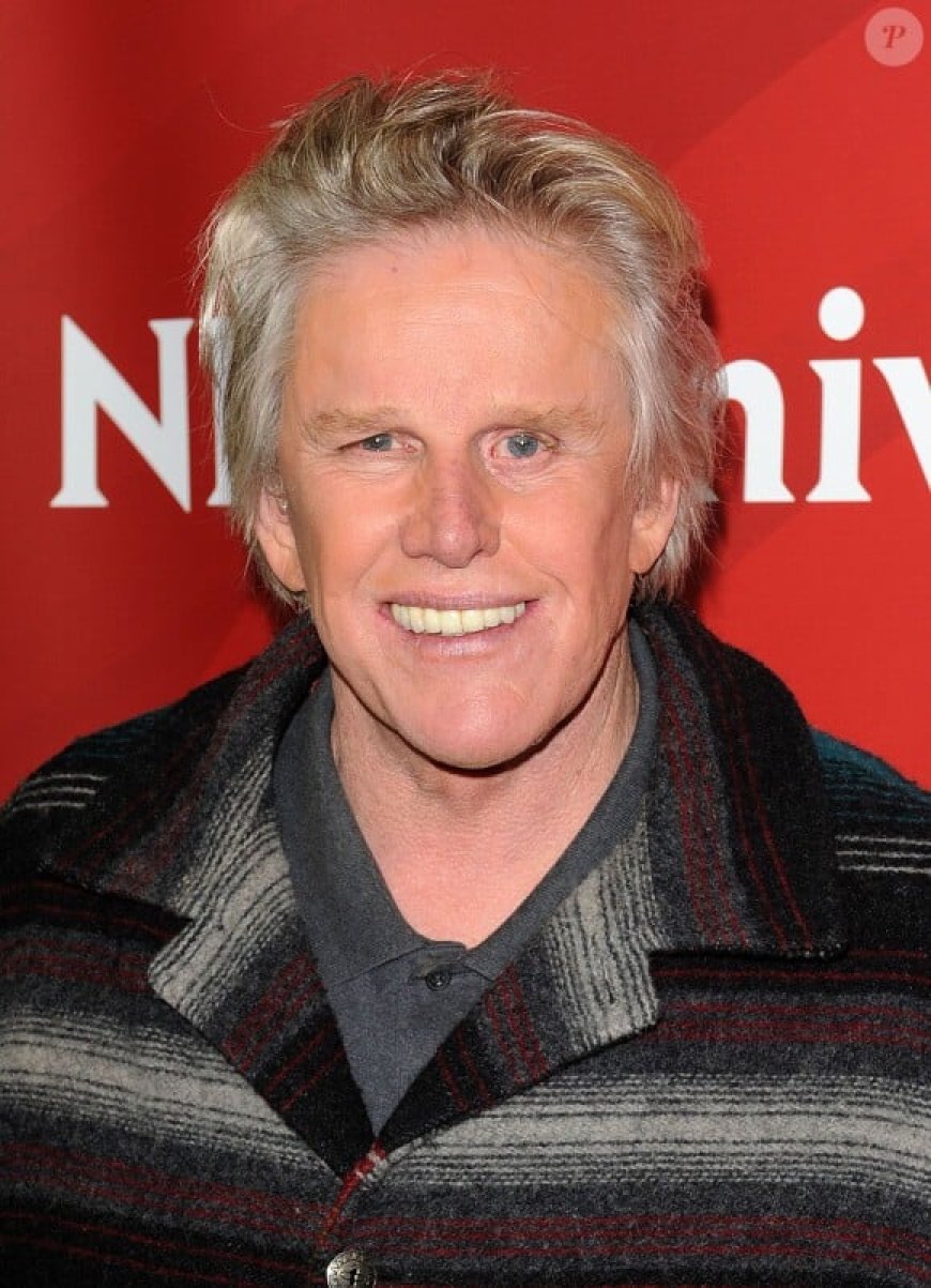 Hollywood Veteran Gary Busey Sentenced to Two Years Probation