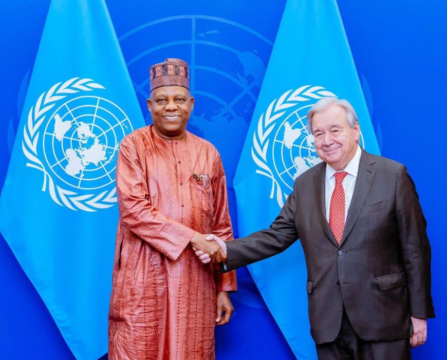 VP Shettima Meets UN Secretary General