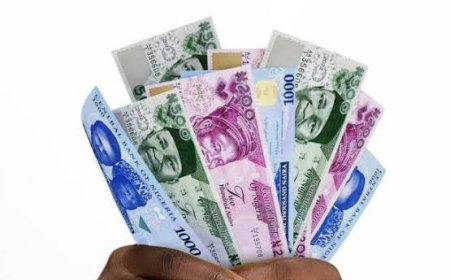 Naira Stabilizes at ₦1,476/$1