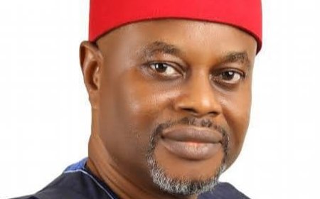 UNN Clarifies: Minister of Science & Technology Uche Nnaji Did Not Graduate from the Institution