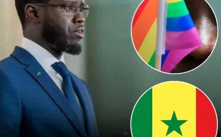 Senegal Halts LGBTQ+ Event