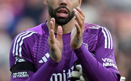 Arsenal Reward David Raya With Upgraded Contract