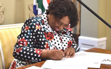 South Africa’s Defence Minister Becomes Acting President