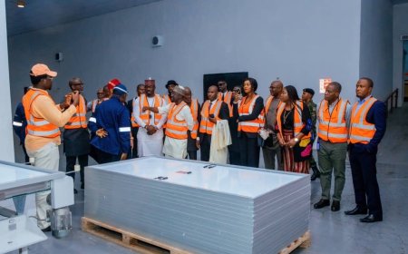 Nigeria Exports First Locally Produced Solar Panels to Ghana