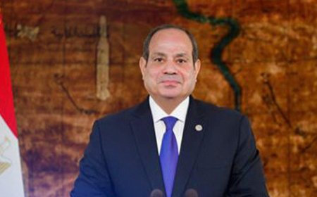 President El-Sisi Hails Gaza Ceasefire