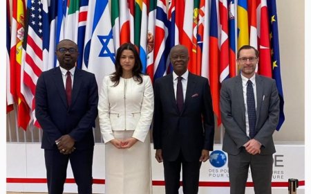 Nigeria Officials Meet FATF in Paris