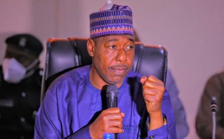 Boko Haram Deploying Drones in Attacks, Zulum Warns Federal Government