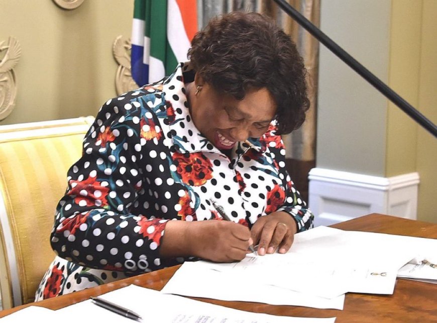South Africa’s Defence Minister Becomes Acting President